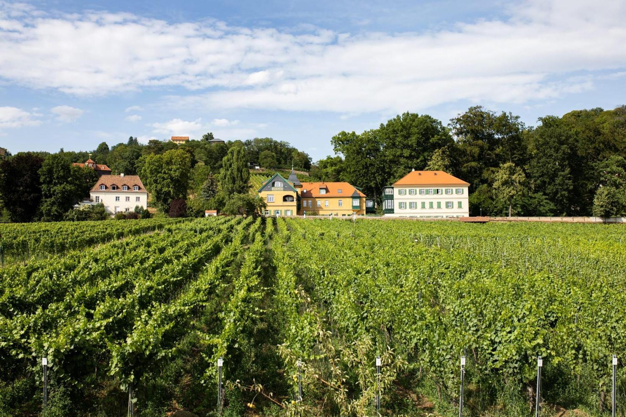 Weingut Haus Steinbach Villa Radebeul Exterior photo